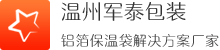 保温袋/镀铝箔立体保温袋定做生产厂家 - 温州军泰包装有限公司